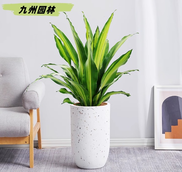 也門(mén)鐵
